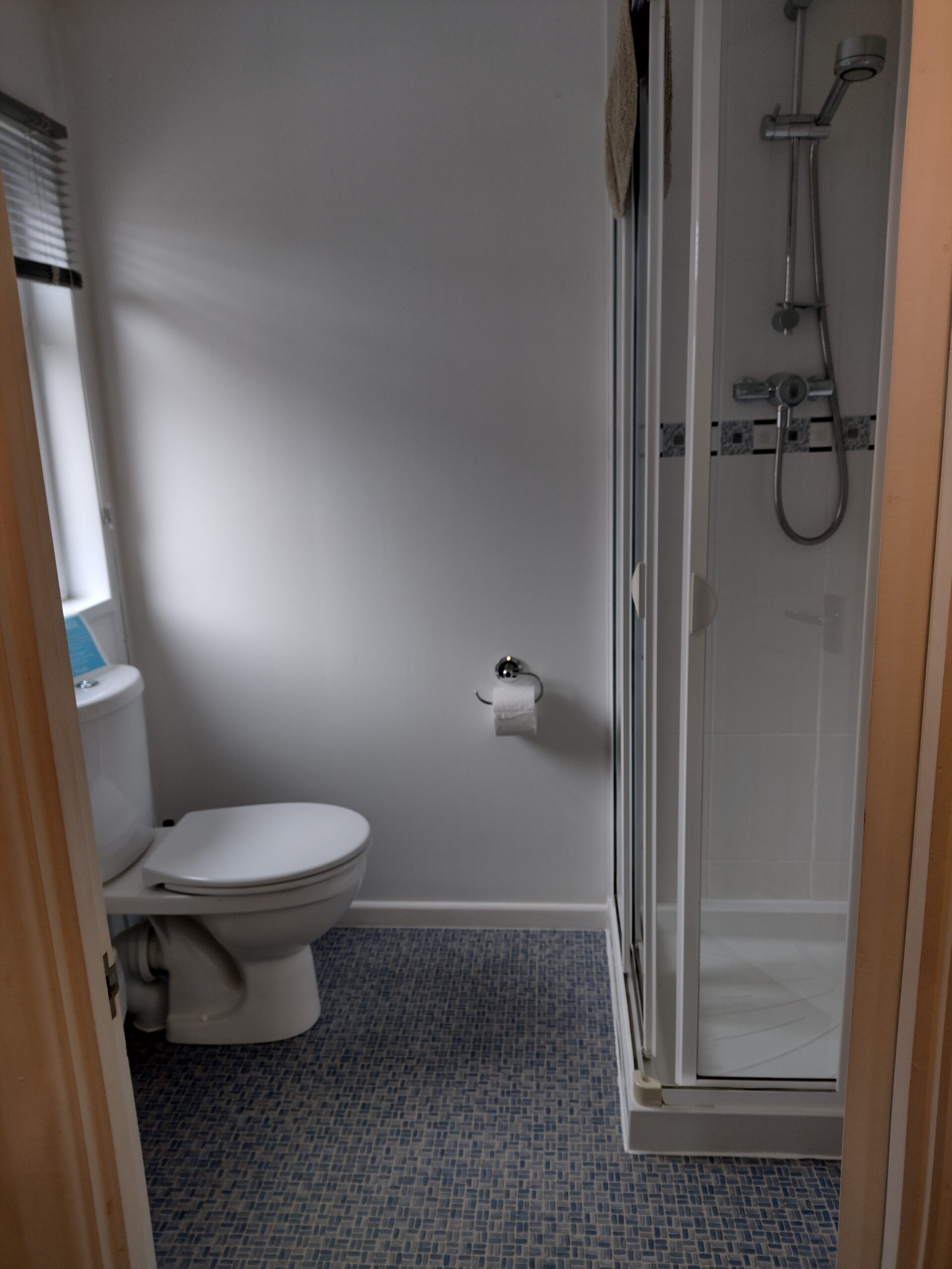 Apple Blossom en-suite shower room